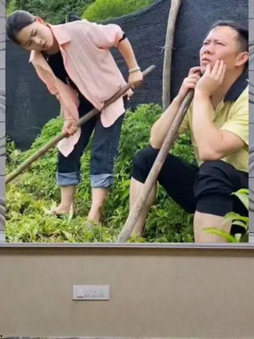 娱乐八卦一定是吃瓜群众,揭秘“吃瓜群众”的娱乐八卦盛宴